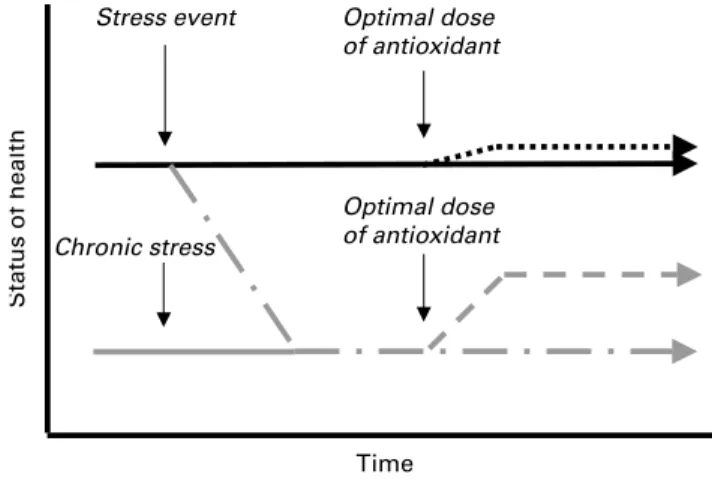 Fig. 2. A simplified representation of the hypothetical action of antioxidants on the health status of an apparently healthy person or a person under chronic stress