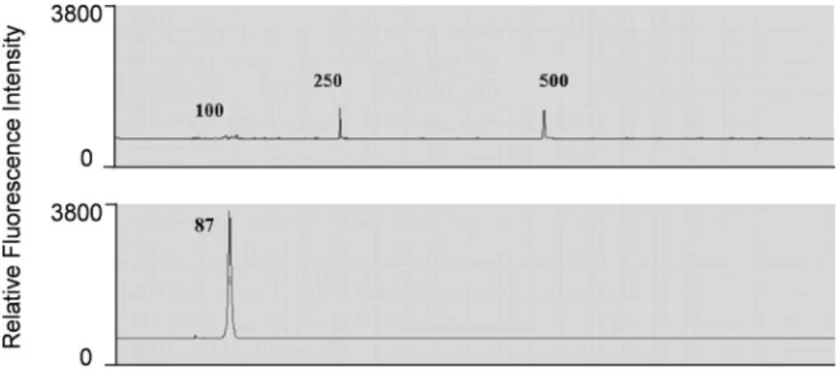 Figure 4. Surface DNA content analysis by TdT labeling of 3 0 -OH using Cy5-ddNTP Visual Genetics sequencer trace recorded for disulfide-T2 template (80mer) grafted on BTA glass, labeled with 500 nM ddNTP-Cy5.0 at 3 0 end (TdT) and cleaved from the surface