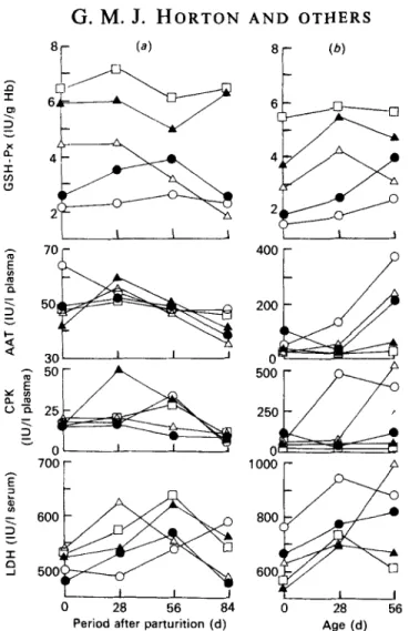 Fig. 3. Effects of vitamin E and selenium supplementation on the activities of glutathione peroxidase 
