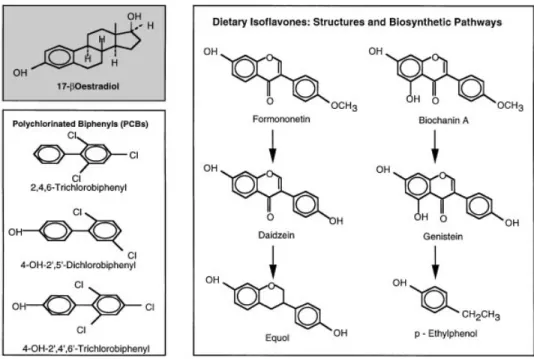 Figure 1. Structures of 17 β -oestradiol, phyto-oestrogens and polychlorinated biphenyls.