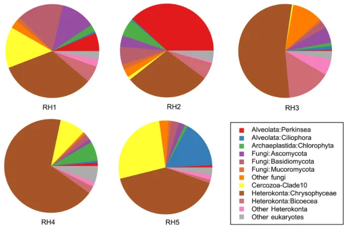 Fig. 2. Pie charts representing the high-level taxonomic composition of the communities in the five water bodies RH1-5.
