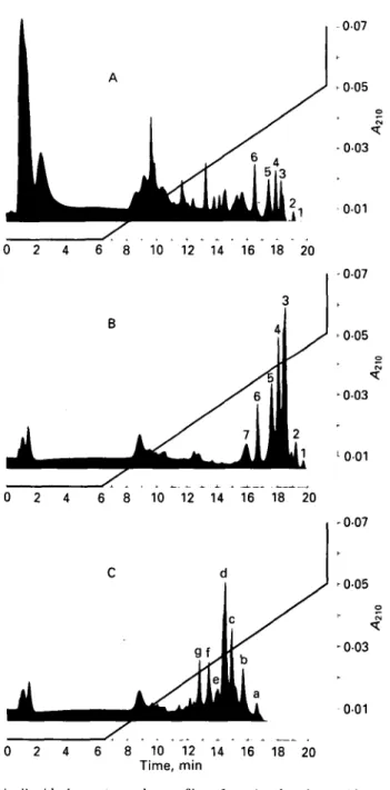 Fig. 2. Fast protein liquid chromatography profiles of casein phosphopeptides on Mono Q resin, column HR 5/5; other conditions described in the Materials and Methods section
