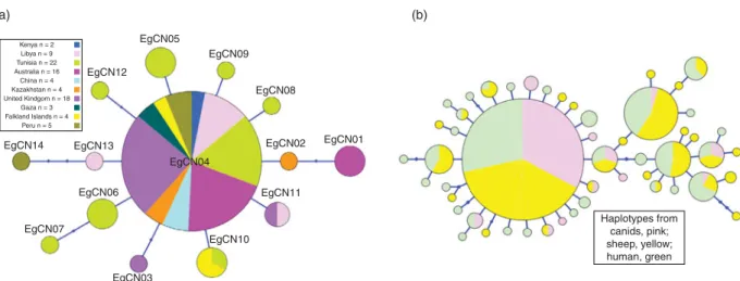 Table 3. Diversity and neutrality indices for Echinococcus granulosus (s.s.) adult tapeworm isolates from canid hosts originating from various geographical regions using nucleotide data of the cytochrome c oxidase subunit 1 (cox1) mitochondrial gene.