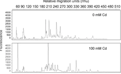 Fig. 4. T-RFLP profile of a sample from (a) 0 mM Cd (water treatment) and (b) 100 mM Cd  treat-ment of the soil from Burgdorf.