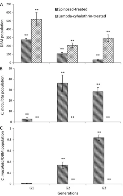 Fig. 3. (A) P. xylostella (DBM) population abundance, (B) C. maculata population abundance, (C) ratio of C