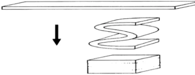 Fig. 1. Illustration of cell sheets folding. A piece of cell sheet harvested from the 15-cm culture dish was folded to form a four-layer sheet.