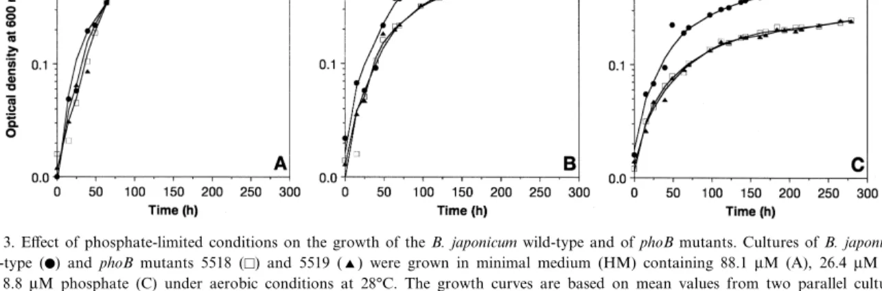 Fig. 3. E¡ect of phosphate-limited conditions on the growth of the B. japonicum wild-type and of phoB mutants