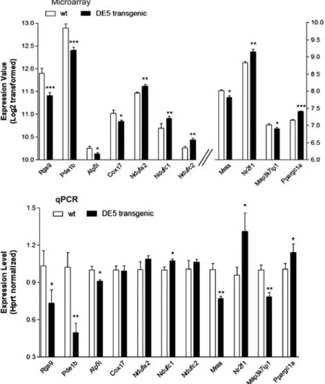 Figure 6. Expression alterations of genes associated with various canonical pathways in DE5 transgenic mice