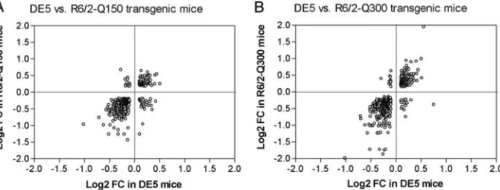 Figure 1. Scatterplots showing concordant and discordant changes of the overlap of differentially expressed genes between DE5 transgenic and the R6/2 lines.