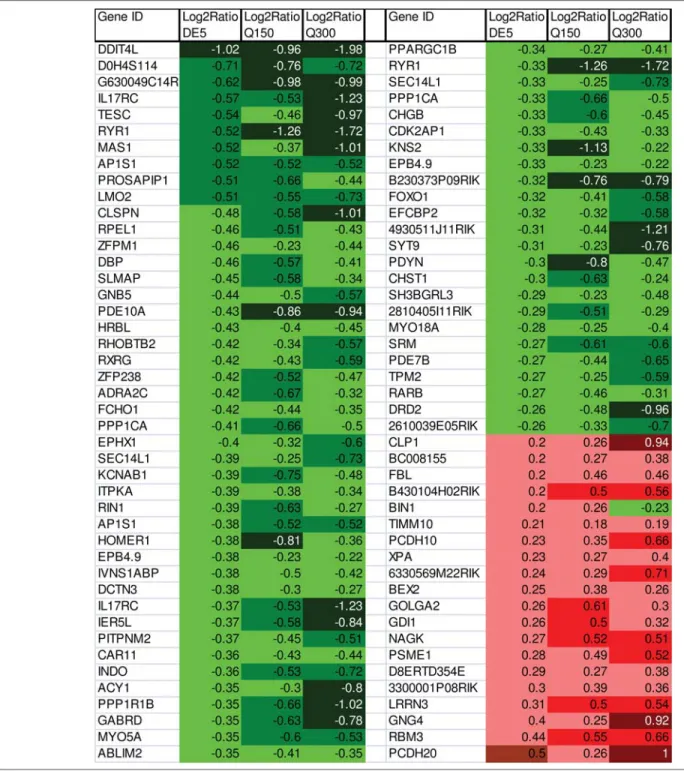 Table 2. Top expression changes significantly altered in all three HD mouse lines