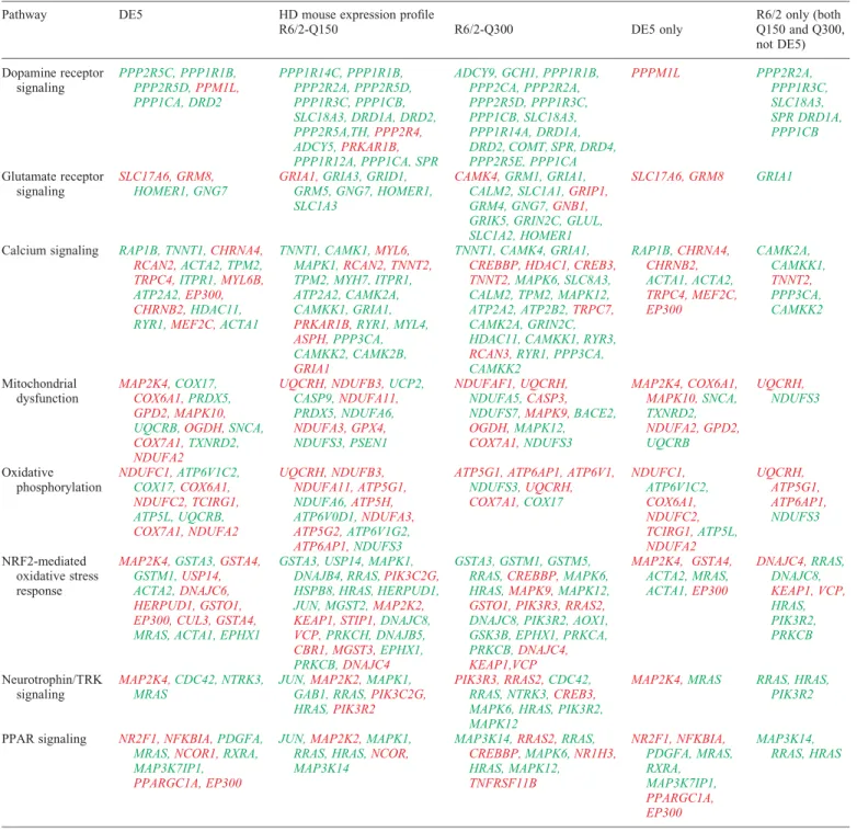 Table 3. Canonical pathways associated with shared and unique expression profiles of HD mice