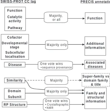 Fig. 3. Illustration of the mapping procedure from SWISS-PROT CC tags to elements of the final report