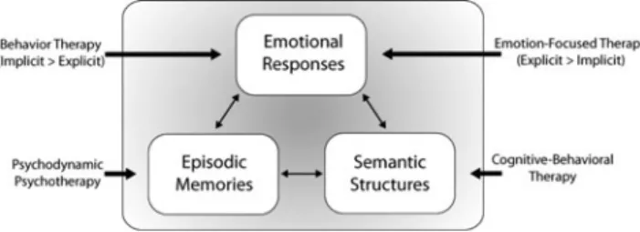 Figure 1. Points of entry into the integrated memory structure for four types of psychotherapy.