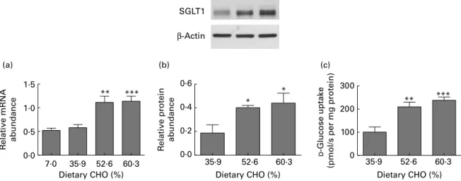 Fig. 1. Expression of Na þ /glucose co-transporter 1 (SGLT1) is up-regulated when the carbohydrate (CHO) content of the diet exceeds intestinal glucose absorp- absorp-tive capacity