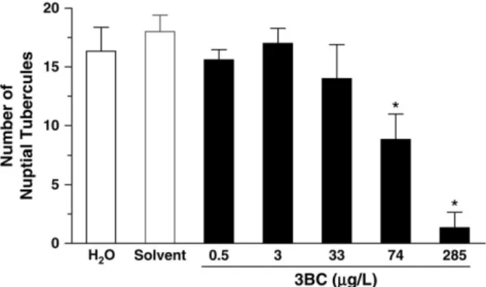 FIG. 5. Number of nuptial tubercles of male fathead minnows. Control males (white bars) and males exposed to 3BC (black bars)