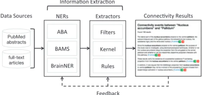 Fig. 1. Overview of datasets, methods and models. Three named entity recog- recog-nizers (NER) identify and normalize brain region mentions: BAMS and ABA (lexical-based) and BraiNER (machine learning-based)