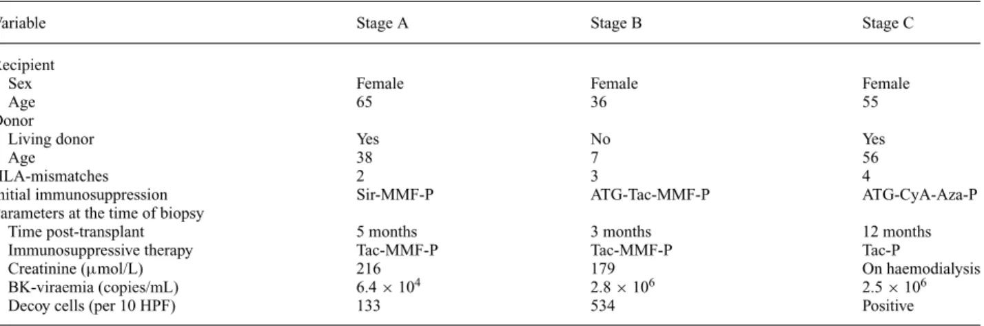Table 1. Clinical parameters of our three patients with renal transplants and ongoing BKV nephropathy corresponding to stages A, B and C