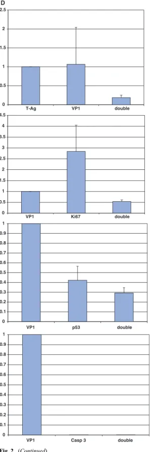 Fig. 3. Correlation of the nuclear size with expression of early and late phase BKV protein