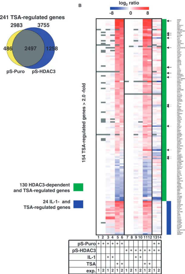 Figure 8. Comparison with the pan-HDAC inhibitor TSA reveals differential and restricted effects of HDAC3 and IL-1 on speciﬁc sets of genes.