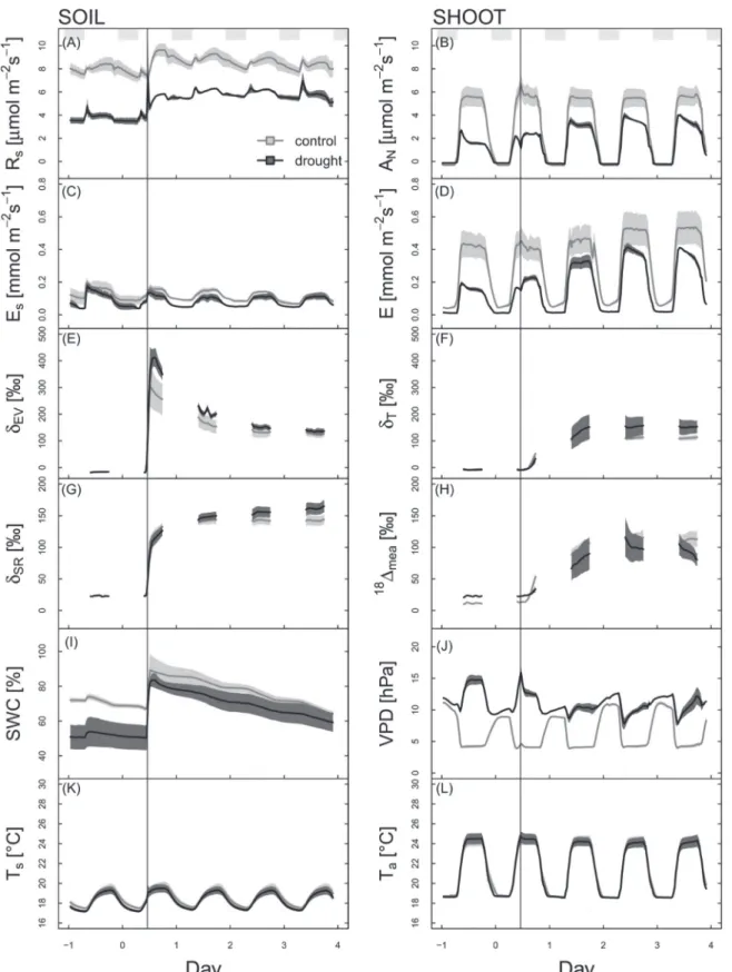 Fig. 4.  Mean diel cycles of soil-related parameters (left panels) and shoot-related parameters (right panels) during the H 2 18 O-labelling (vertical black line)  experiment for (A) soil respiration (R s ); (B) photosynthesis (A N ); (C) evaporation from 