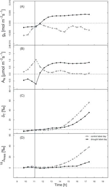 Fig. 5.  Immediate response during the label day in quantitative differential  to the preceding non-label day for: (A) stomatal conductance (g s ); (B)  photosynthesis (A N ); (C) δ 18 O of the transpirational flux (δ T ); and (D)  measured discrimination 