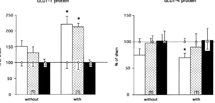 Fig. 3. Myocardial protein levels of GLUT-1 (left) and GLUT-4 (right) in the peri-infarction region ( h ), the septum ( ) and the right ventricular free wall ( j ) in rats without and with heart failure 20 weeks after surgery