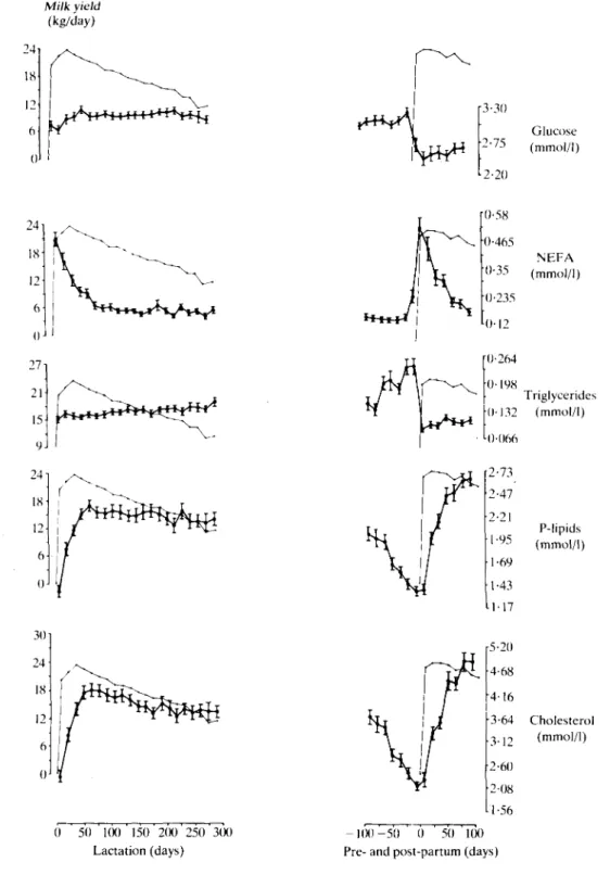 FIG. 2. Blood plasma concentrations of glucose, NEFA, triglycerides, P-lipids and cholesterol (f 5) during a 305-day lactation period and 100 days before and after the ensuing parturition in relationship to uncorrected milk yield (•  • ) , measured in 36 a