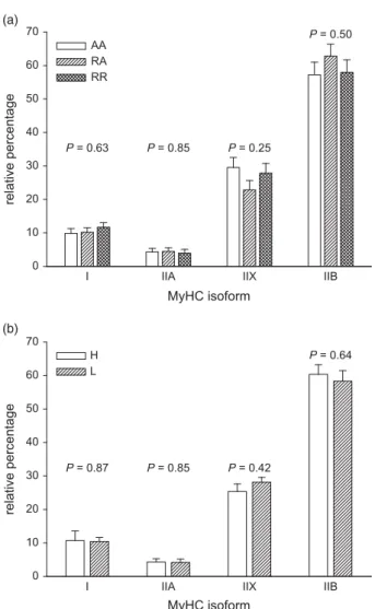 Figure 1 Relative mRNA expression of myosin heavy chain (MyHC) isoform I, IIA, IIX and IIB determined in the longissimus dorsi muscles.