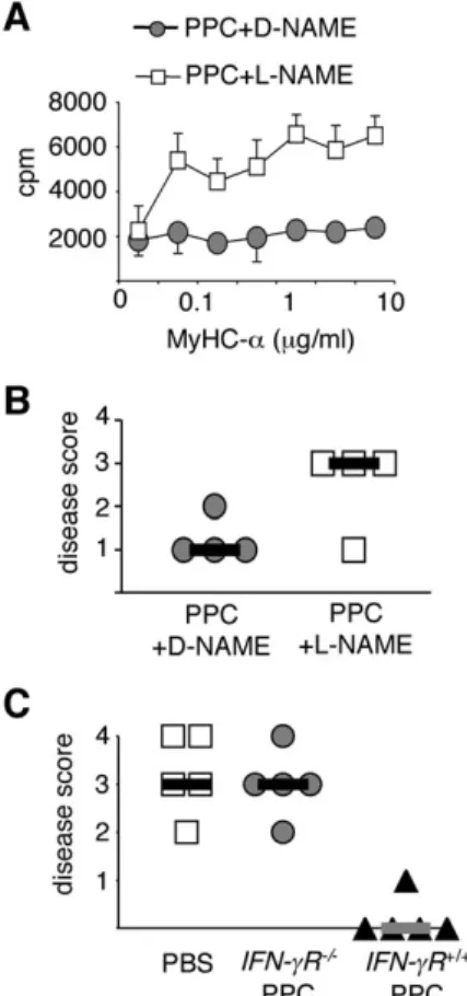Figure 6 Nitric oxide (NO) mediated the suppression of heart-speciﬁc CD4 þ T cells in vivo