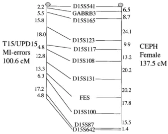 Figure 1. A comparison of the genetic maps constructed from non-disjoined chromosomes 15 of maternal MI errors (n = 97) and CEPH maternal haplotypes (n = 92).