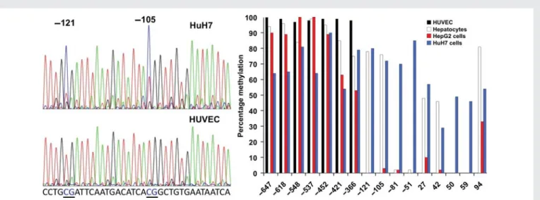 Figure 2 Comparison of basal t-PA expression in HUVEC and human liver-derived cells. Antigen levels of t-PA in 24 h conditioned medium of HUVEC, human primary hepatocytes, HepG2 or HuH7 cells was measured by ELISA (left) and t-PA mRNA levels by qPCR (right