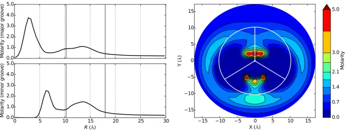 Figure 3. Average K + atmosphere. Structure of the K + atmosphere around B-DNA, obtained averaging over the 136 distinct tetranucleotides