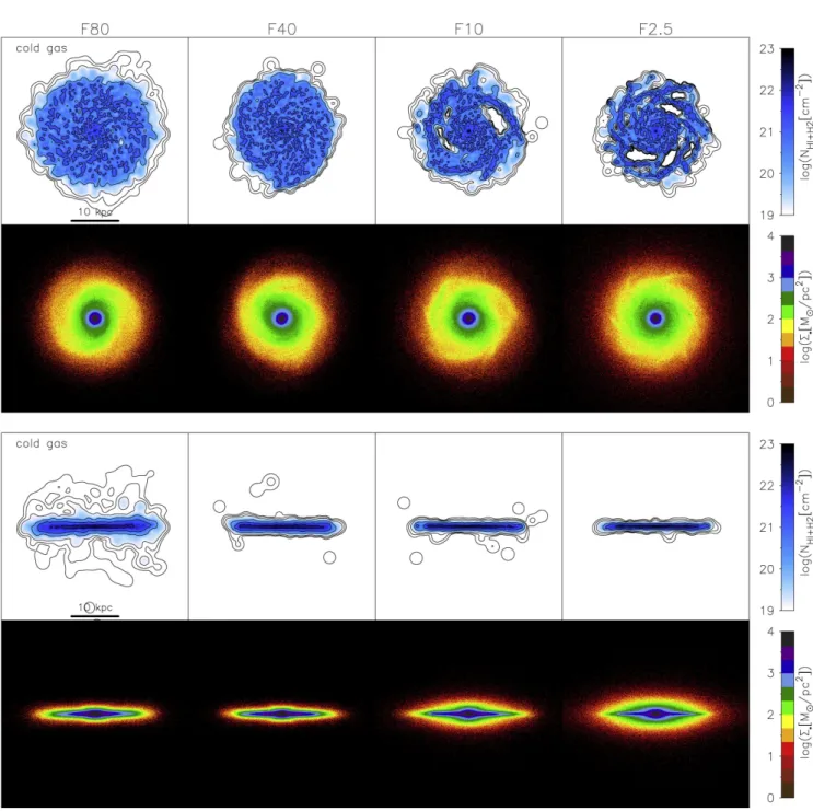 Figure 2. Final images of cold gas and stars of the four simulated galaxies after 10 Gyr of evolution