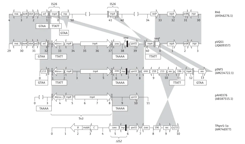 Figure 1. Genetic organization of the antimicrobial resistance region of pVQS1 in comparison with R46, pINF5, pAH0376 and TPqnrS-1a