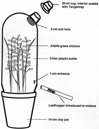 Fig. 1. Bioassay arena used to determine emigration of E. fabae from alfalfa, grass, and alfalfa-grass mixtures.