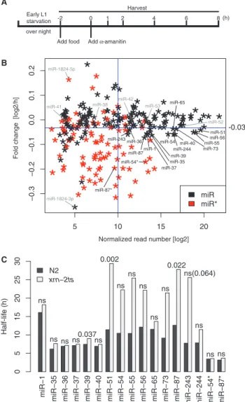 Figure 5. Speciﬁc miRNAs are stabilized on XRN2 depletion.