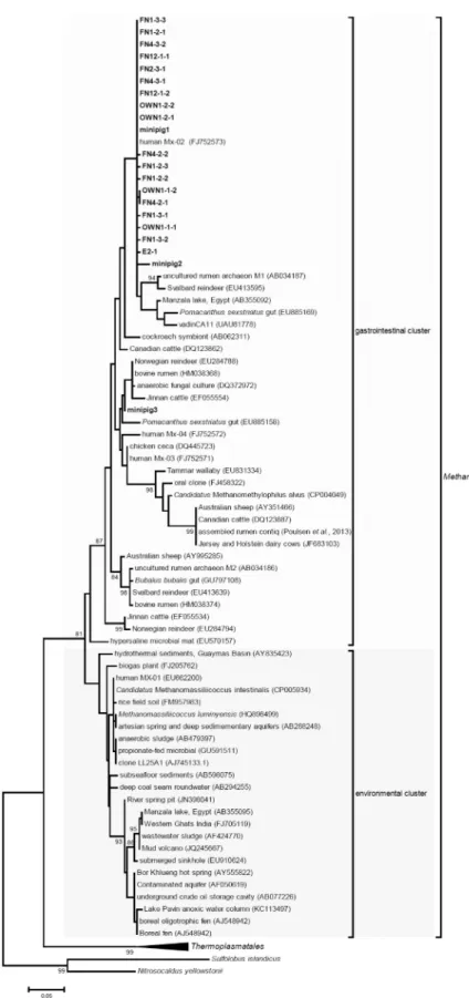 Figure 3. Environmental distribution of the clones obtained in this study. Sequences were phylogenetically analysed from partial sequences of the 16S rRNA gene (320 bp) using maximum likelihood analysis