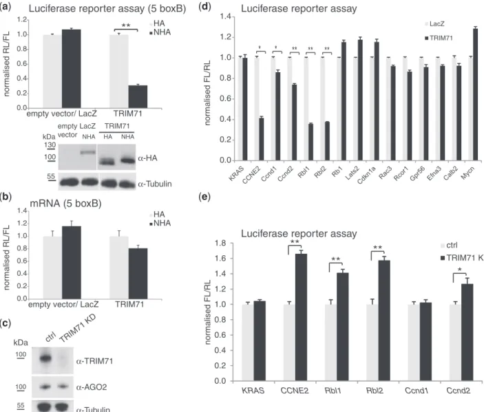 Figure 2. Continued