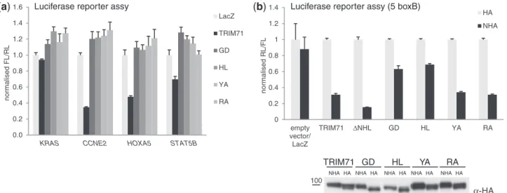 Figure 5. Individual mutations of conserved residues within the NHL domain abrogate TRIM71 function