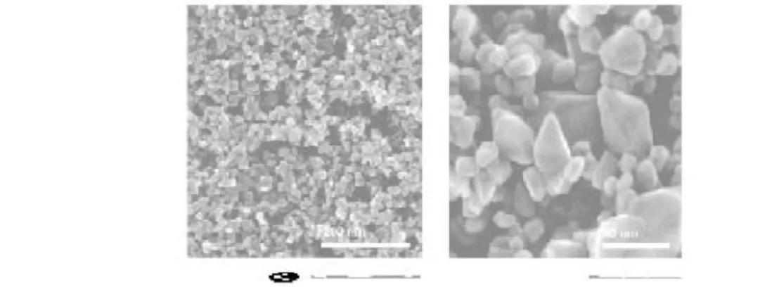 Fig. 2 Scanning electron microscope picture of a nanocrystalline titania (anatase) film