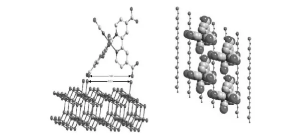 Fig. 4 Structural presentation of the N3 ruthenium complex adsorbed onto the (101) surface of anatase