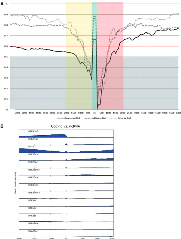 Figure 4. Coding (Gene), ncRNA and Rnd comparisons. (A) Supermarks and corresponding F scores are calculated for gene bodies (Tx) and for genomic regions considering regions extending upstream from TSS (negative sizes on x axis) and downstream of 3 0 -end 