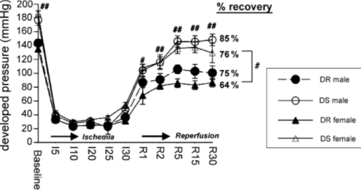 Fig. 5. Panel A shows the time course of end-diastolic pressure (mmHg).