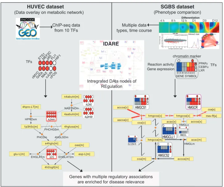 Figure 1. Conceptual overview of the analysis performed that links the regulatory and metabolic networks for exposing disease-relevant genes