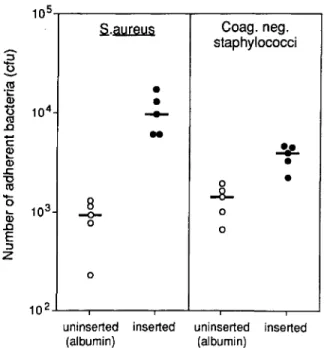 Figure 1. Adherence of ten bacteremic strains from iv device infections, five S. aureus and five coagulase-negative staphylococci, to either uninserted (albumcoated) or  in-serted I-cm segments of a long peripheral polyvinyl  chlo-ride (Drumcath) catheter