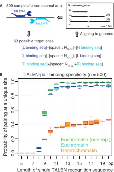 Figure 1. Target speciﬁcity of TALEN-pairs as a function of the binding sequence length