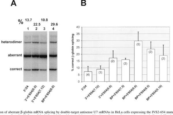 Figure 4B shows a quantitative comparison of double-target constructs with different combinations of antisense and spacer sequences