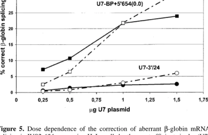 Figure 6. Efficient permanent restoration of β-globin mRNA splicing and pro- pro-tein production by double-target construct U7-BP+5′654(7.5) in  IVS2-654-expressing HeLa cells