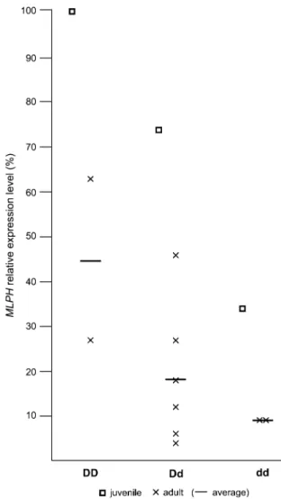 Figure 3. The MLPH expression level measured by quantitative real-time RT-PCR compared with the genotype and the age of the dog