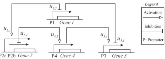 Fig. 1. A regulatory network with n = 4 genes. Graphical conventions follow (Kohn, 2001)